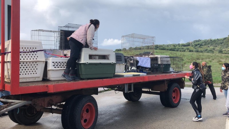 <span style='color:#780948'>ARCHIVED</span> - Heavy rains cause multiple evacuations and flooding in Cadiz on Sunday