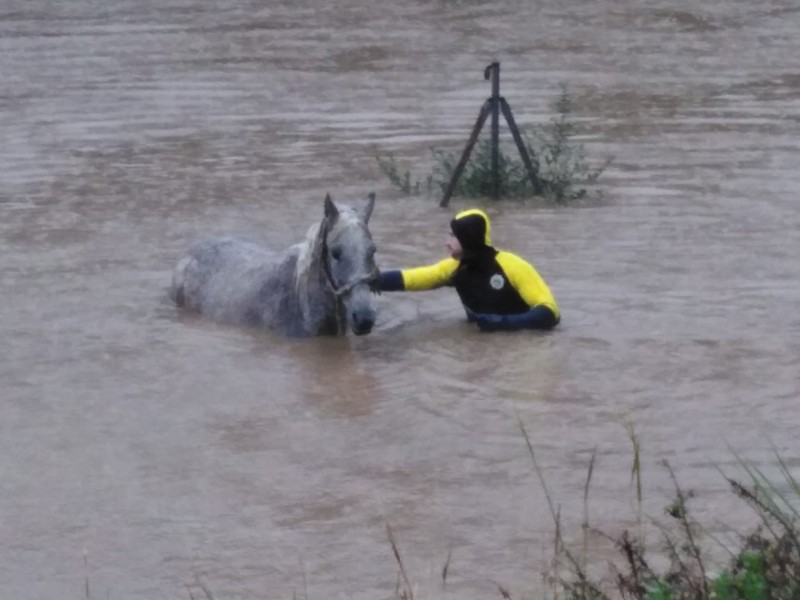 <span style='color:#780948'>ARCHIVED</span> - Heavy rains cause multiple evacuations and flooding in Cadiz on Sunday