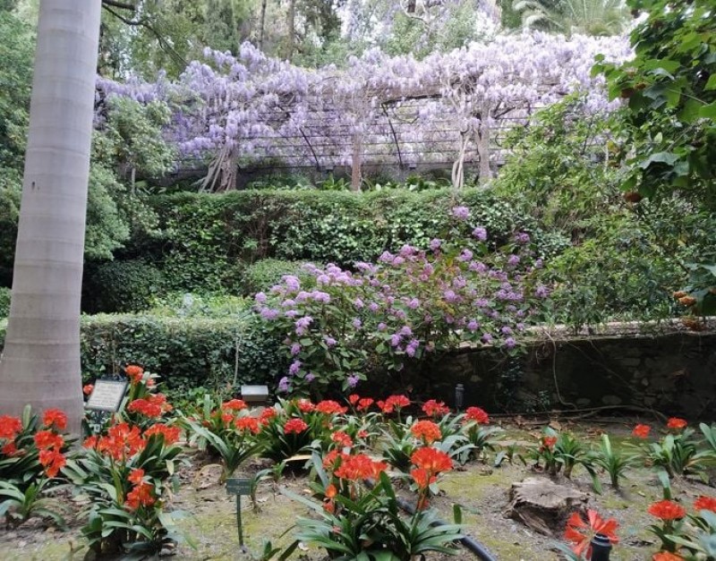 <span style='color:#780948'>ARCHIVED</span> - African coral, plant of the month at Malaga’s fabulous botanical gardens