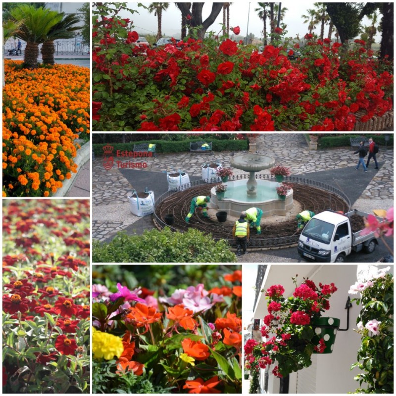 <span style='color:#780948'>ARCHIVED</span> - Estepona council plants out more than 20,000 flowers in the Garden of the Costa del Sol