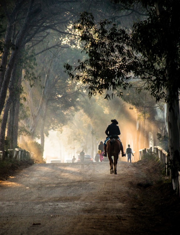 <span style='color:#780948'>ARCHIVED</span> - Prizewinning images capture the soul of Andalusia; photography competition Roquetas de Mar, Almeria