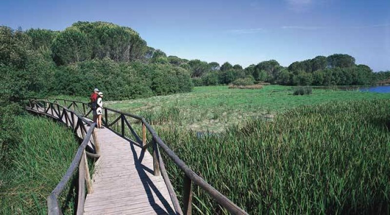 <span style='color:#780948'>ARCHIVED</span> - European court rules that Spain has failed to protect Doñana wetlands in Andalusia
