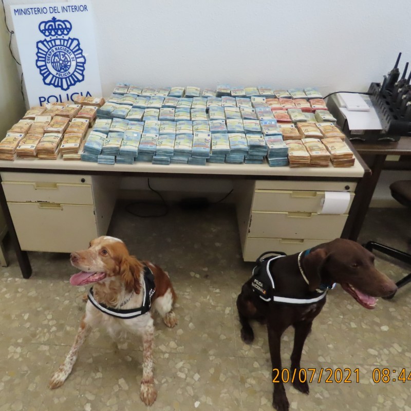 <span style='color:#780948'>ARCHIVED</span> - Málaga police dogs sniff out one million euros in hidden compartment of SUV
