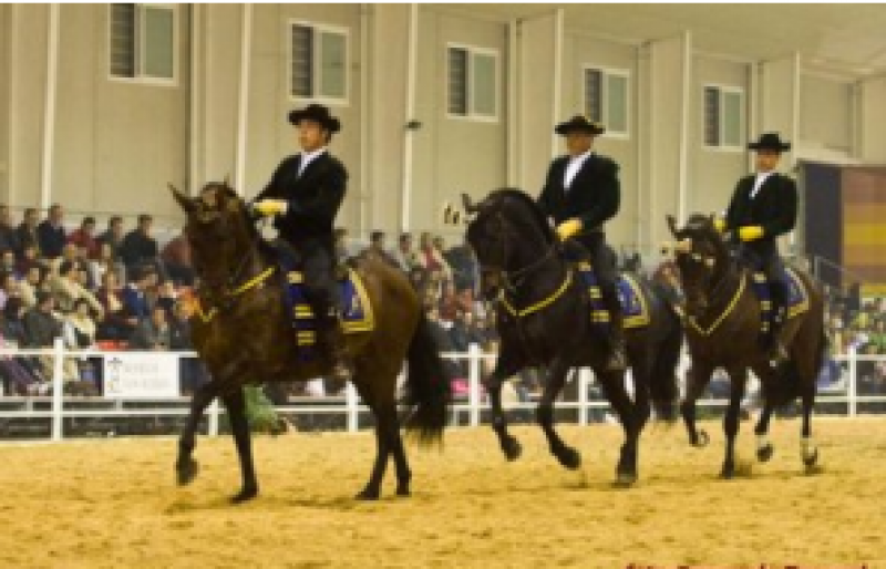 <span style='color:#780948'>ARCHIVED</span> - International Purebred Spanish Horse Show returns to Seville in Andalusia: November 16 to 21