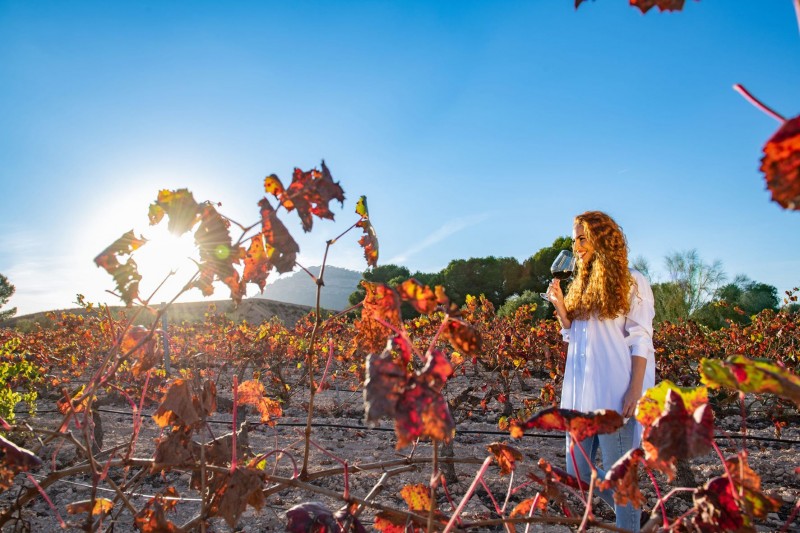 <span style='color:#780948'>ARCHIVED</span> - Murcia Wine Bus provides organised coach trips for wine tastings from March to June 2022