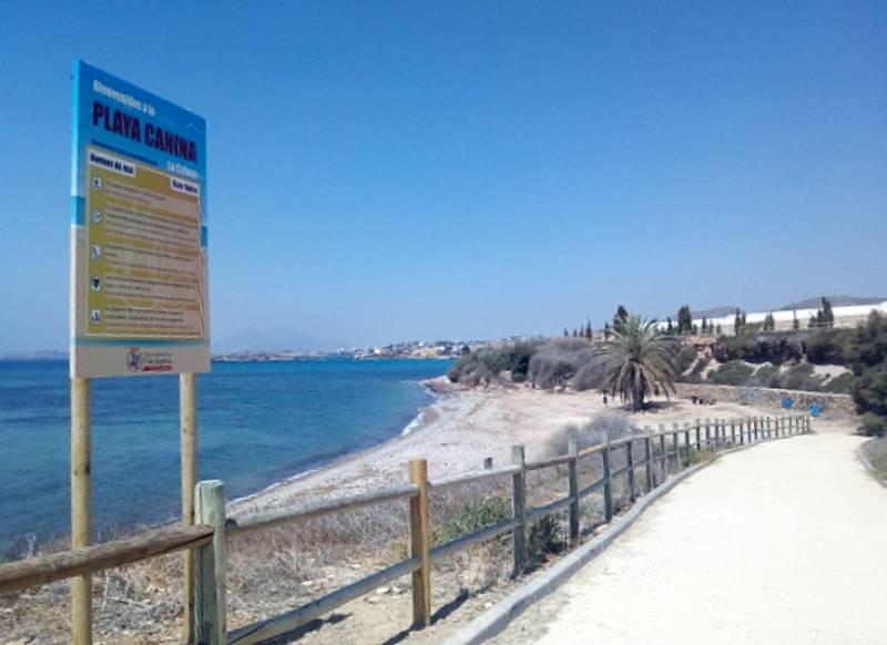 <span style='color:#780948'>ARCHIVED</span> - Cartagena Town Hall promises beach weddings and more dog friendly beaches