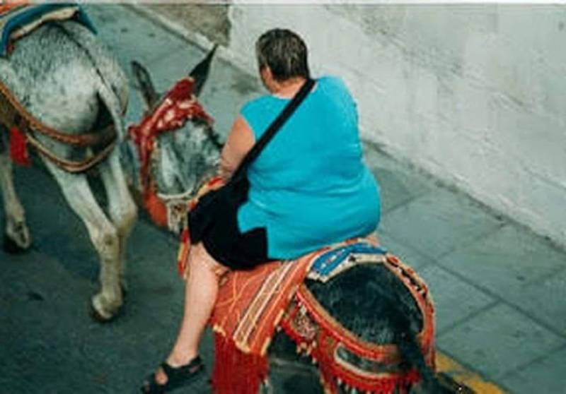 <span style='color:#780948'>ARCHIVED</span> - British vet carries out MOT checks on Mijas donkey tourist taxis in Malaga province