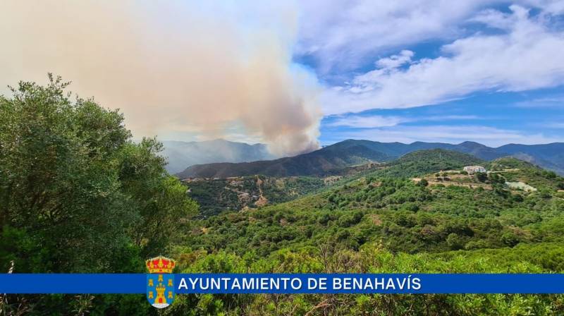 <span style='color:#780948'>ARCHIVED</span> - 2,500 residents forced to evacuate to flee forest fire in Malaga town of Benehavis