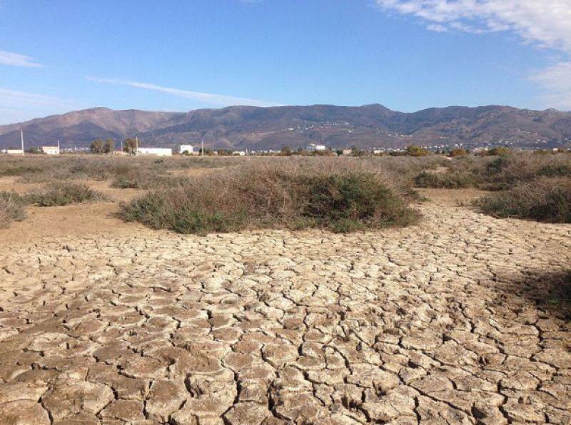 <span style='color:#780948'>ARCHIVED</span> - Heavy rains do little to refill Cadiz reservoirs