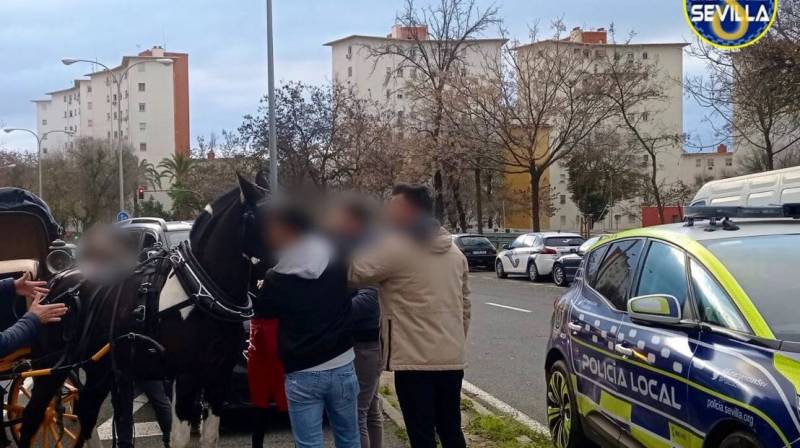 <span style='color:#780948'>ARCHIVED</span> - Runaway horse causes chaos on Seville road