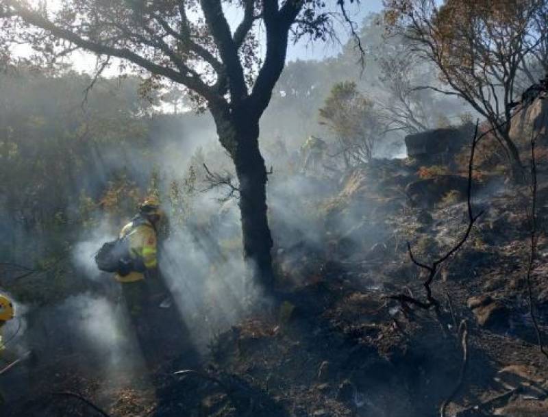 <span style='color:#780948'>ARCHIVED</span> - Andalucia extends ban on agricultural burning as fire risk increases