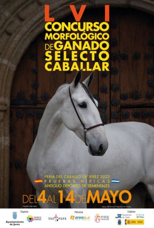 <span style='color:#780948'>ARCHIVED</span> - May 6-13 Feria de Jerez horse fair in Cadiz, Spain