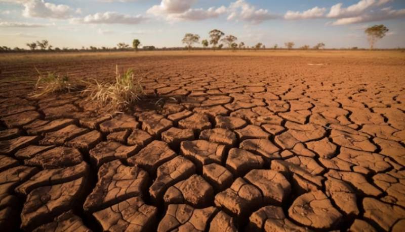 One in three Malaga municipalities subjected to water restrictions