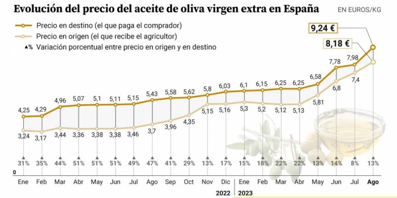 Green gold crisis: olive oil prices go through the roof in Spain