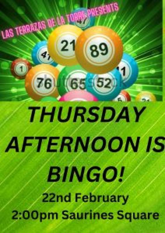 February 22 Bingo afternoon at Las Terrazas de la Torre golf resort