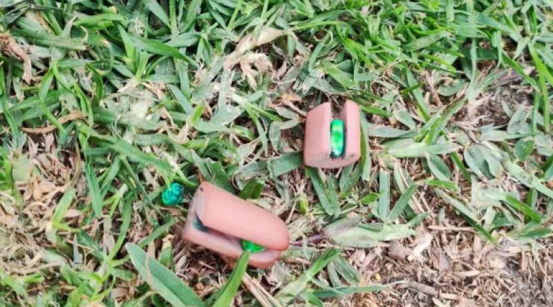 Sausages containing needles found on Costa del Sol dog walking route