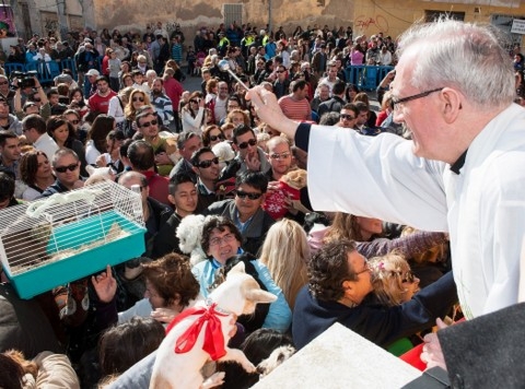 Cartagena San Antón