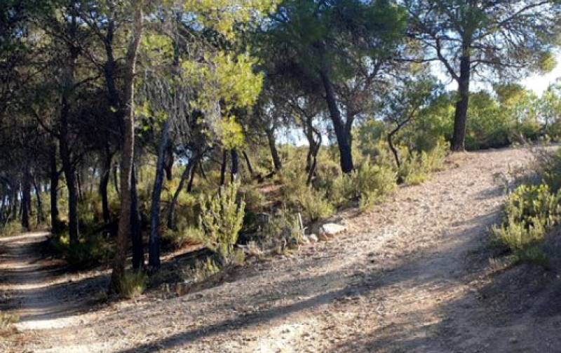 PR-MU 131 Sendero Baldomero Brugarolas – Camino histórico al Pozo de la Nieve de las Ánimas hiking route in Alhama de Murcia and Sierra Espuña