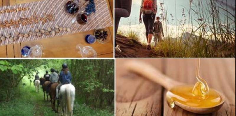 Discover Guatazales this summer: Honeybees, wine and wilderness await