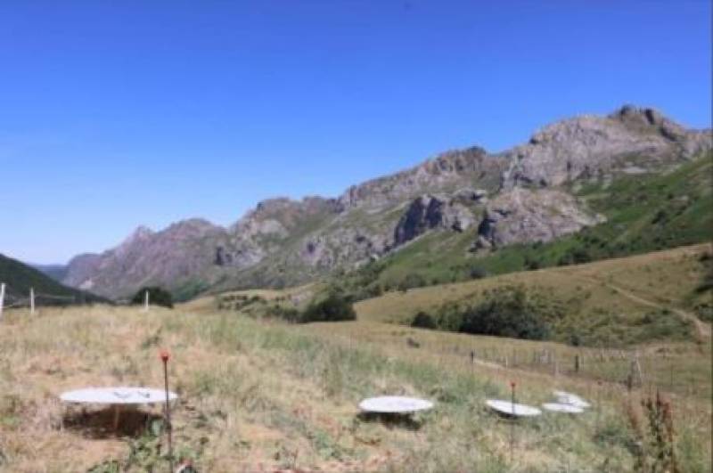 New Hunger Games movie is being filmed in Spain