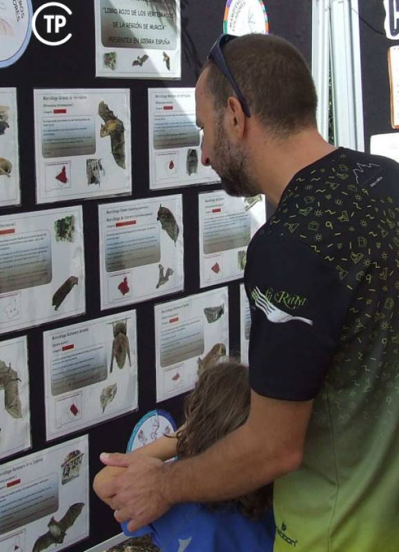 August 17 to 23 Bat workshops and exhibitions in Alhama de Murcia villages