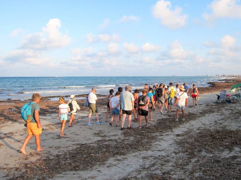 August 17 Free guided tour of the Posidonia seagrass on the beach of Torre Derribada in San Pedro del Pinatar