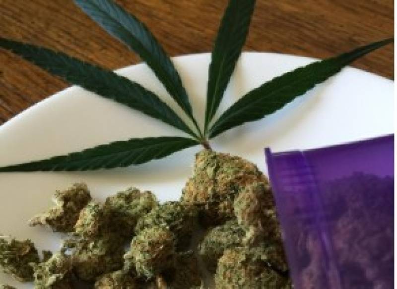 Over 1.5 tonnes of hashish concealed in oranges seized in Malaga drug bust