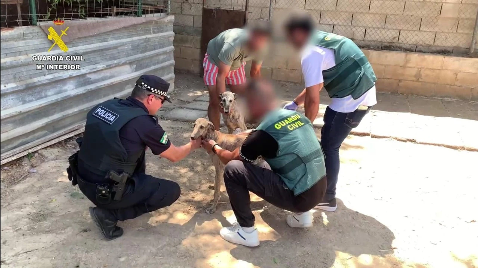 Two arrests made in Spain after shocking cases of dog abuse