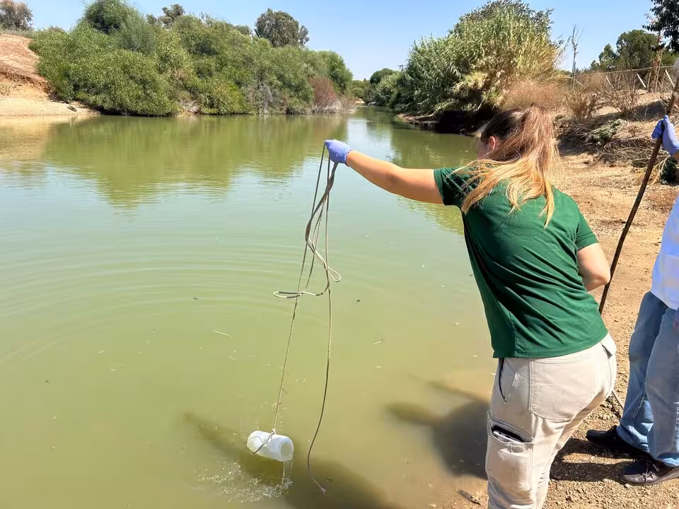 Avian flu confirmed as cause of bird deaths in Seville’s Tamarguillo Park