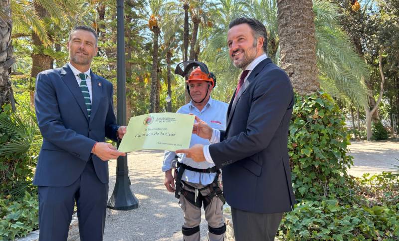 Tree of friendship: Elche dedicates palm to Caravaca de la Cruz