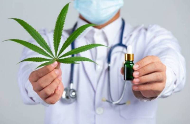 Spanish News Today Editors Roundup Weekly Bulletin Oct 10