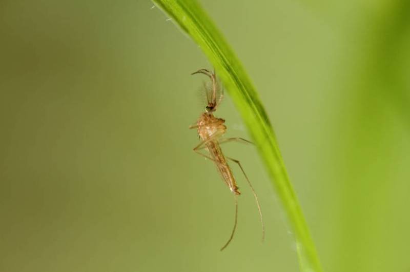 Spanish News Today Editors Roundup Weekly Bulletin Oct 17