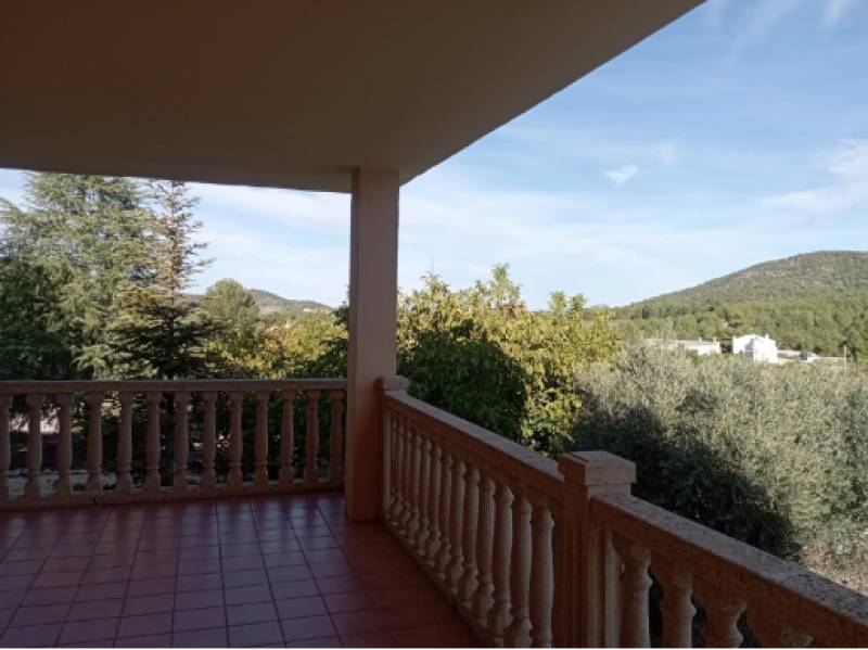 Guatazales in Bullas: Where regenerative farming brings the ancient River of Honey back to life