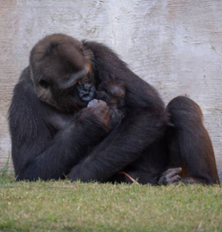 Spanish News Today Editors Roundup Weekly Bulletin Dec 19