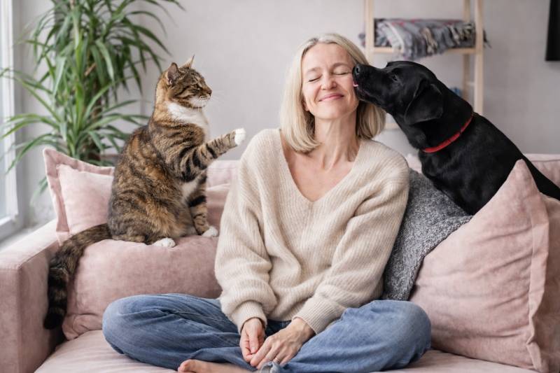 Alicante's pet population booms with nearly half a million registered dogs and cats