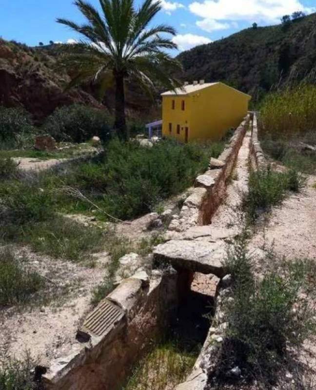 May 16 Free guided walk along the River Chícamo in Abanilla