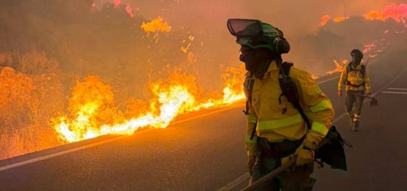 At least 11 dead as Almería wildfire becomes deadliest of the century
