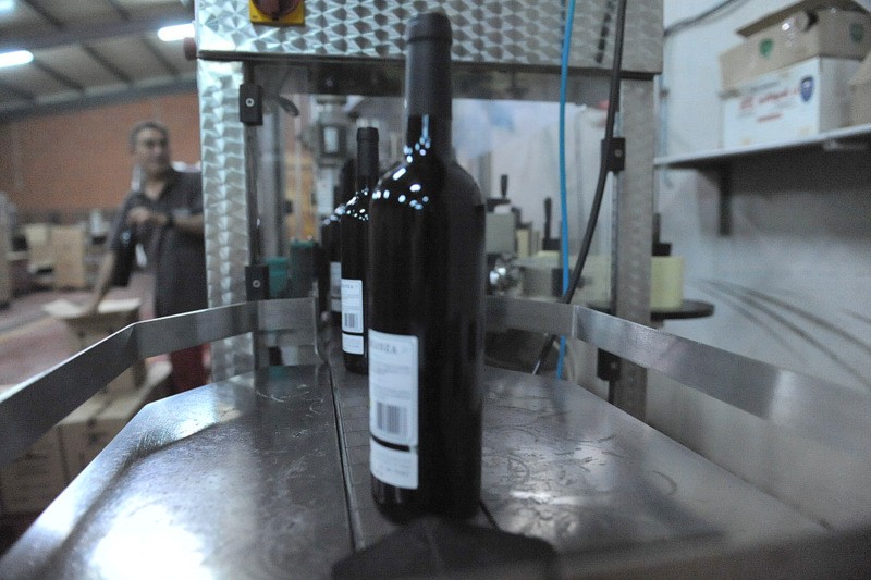 Bullas Bodegas: Bodega San Isidro